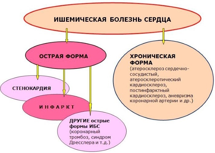 Янтарная кислота. Показания к применению в косметологии, спорте, при похмелье, для похудения, детям. Отзывы