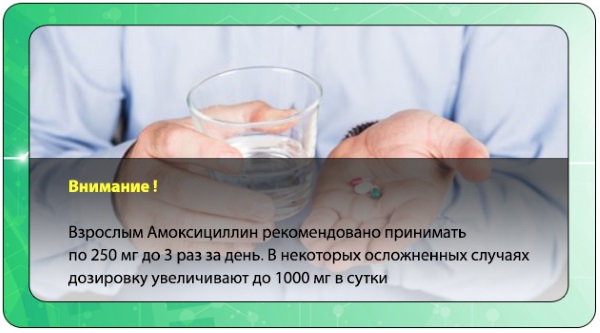 Амоксициллин. Инструкция по применению: таблетки, суспензия, капсулы взрослым и для детей