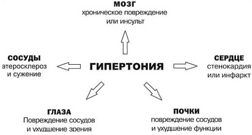 Бисопролол. Инструкция по применению. Отзывы, аналоги