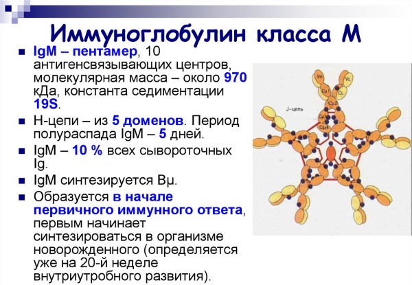 Энтеровирусная инфекция у детей - симптомы и лечение, фото. Как и чем лечить сыпь на коже в домашних условиях, диета, препараты