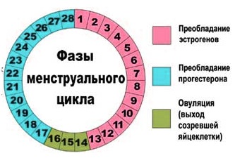 Метеоризм у взрослых: причины и лечение народными средствами, препараты, диета