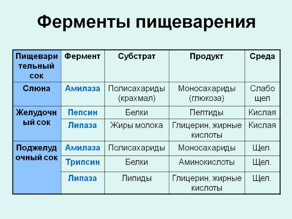 Панкреатин. Инструкция по применению, состав, свойства. От чего помогает взрослым и детям