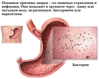 Панкреатин. Инструкция по применению, состав, свойства. От чего помогает взрослым и детям