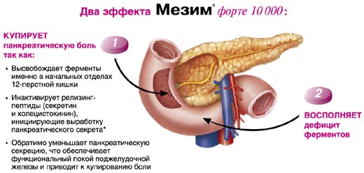 Панкреатин. Инструкция по применению, состав, свойства. От чего помогает взрослым и детям