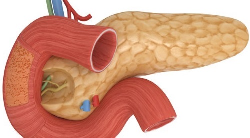 Поджелудочная железа. Симптомы и лечение заболевания у взрослых и детей. Диета