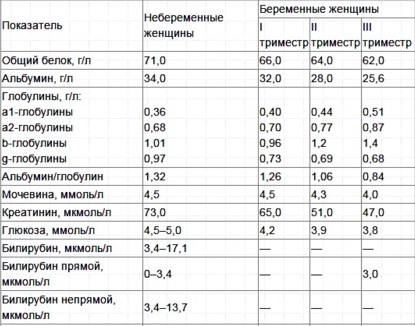 Билирубин. Что это такое, норма у женщин по возрасту, таблица. Диета, лечение при нарушении показателей