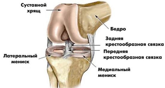 Боль в колене сбоку с внутренней стороны, внешней, наружной, от и до бедра. Причины и лечение. К какому врачу обратиться