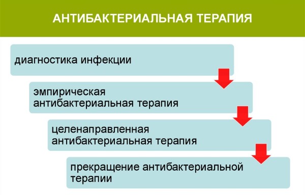 Гарднерелла у женщин. Симптомы и лечение гарднереллеза, причины возникновения, норма. Чем лечить: народные средства, свечи, антибиотики