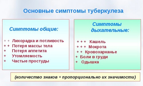 Гинкго Билоба. Инструкция по применению, цена, аналоги