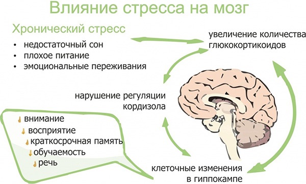 Кортизол повышен у женщин. Причины, симптомы, последствия, лечение в домашних условиях