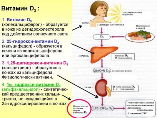 Вторичный гиперпаратиреоз на фоне дефицита витамина д