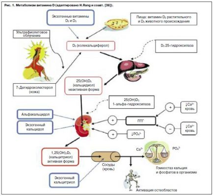 Схема лечения дефицита витамина д