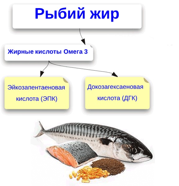 Омега 3. Польза, инструкция по применению для мужчин и женщин. Какие жирные кислоты лучше, в каких продуктах и витаминных комплексах содержатся. Как применять