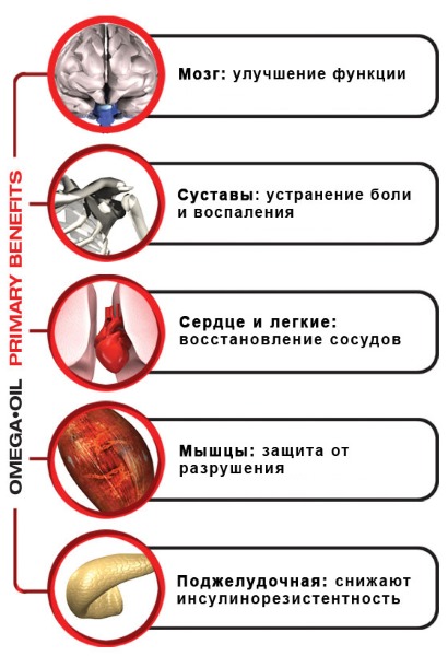 Омега 3. Польза, инструкция по применению для мужчин и женщин. Какие жирные кислоты лучше, в каких продуктах и витаминных комплексах содержатся. Как применять