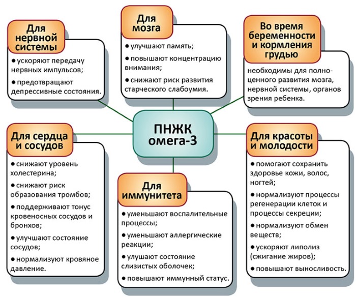 Омега 3. Польза, инструкция по применению для мужчин и женщин. Какие жирные кислоты лучше, в каких продуктах и витаминных комплексах содержатся. Как применять