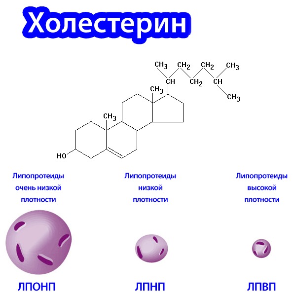 Омега 3. Польза, инструкция по применению для мужчин и женщин. Какие жирные кислоты лучше, в каких продуктах и витаминных комплексах содержатся. Как применять