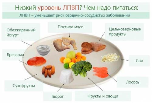 Продукты, снижающие холестерин и очищающие сосуды сердца. Таблица, список