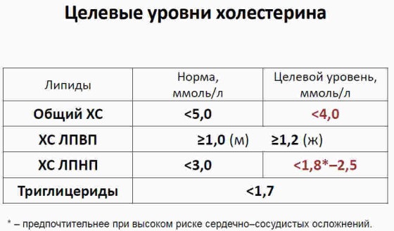 Продукты, снижающие холестерин и очищающие сосуды сердца. Таблица, список