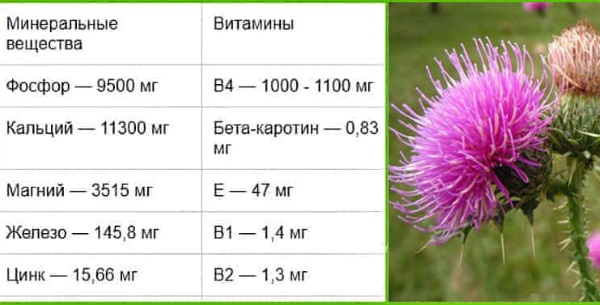 Расторопша для печени: как принимать порошок, масло, шрот, в таблетках, капсулах. Лечебные свойства, отзывы врачей, цена