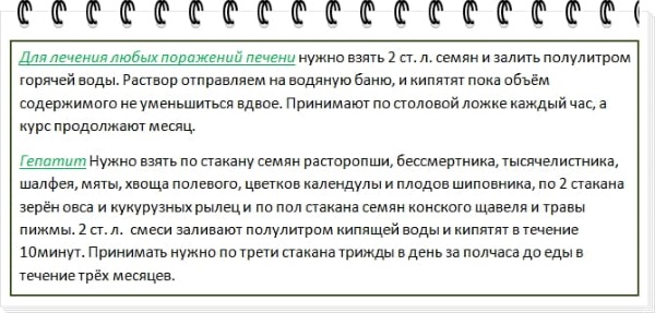 Расторопша для печени: как принимать порошок, масло, шрот, в таблетках, капсулах. Лечебные свойства, отзывы врачей, цена