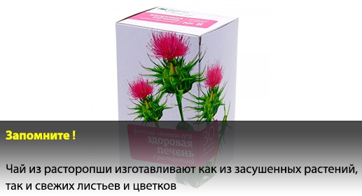 Расторопша для печени: как принимать порошок, масло, шрот, в таблетках, капсулах. Лечебные свойства, отзывы врачей, цена