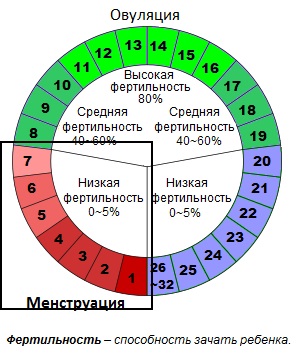 Спираль внутриматочная. Что это такое, виды и цены, как ставят, какая лучше. Список и названия