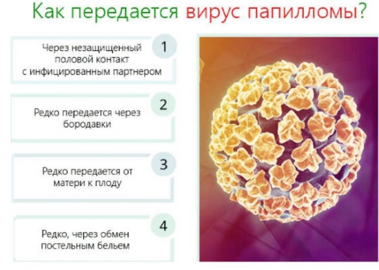 Вирус папилломы человека у женщин в гинекологии. Что это такое, чем опасен, причины, симптомы, как выглядит, передается. Диагностика, анализы, лечение