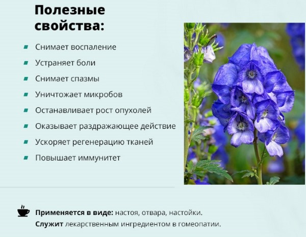 Аконит: показания к применению гомеопатии в народной медицине. Инструкция, как приготовить и принимать настойку