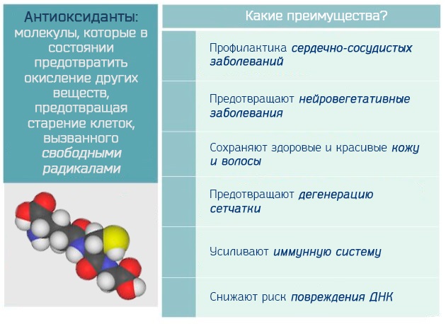 Витамины антиоксиданты презентация