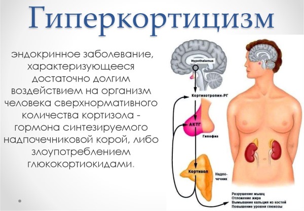 Белосалик мазь. Инструкция по применению, цена, аналоги, отзывы