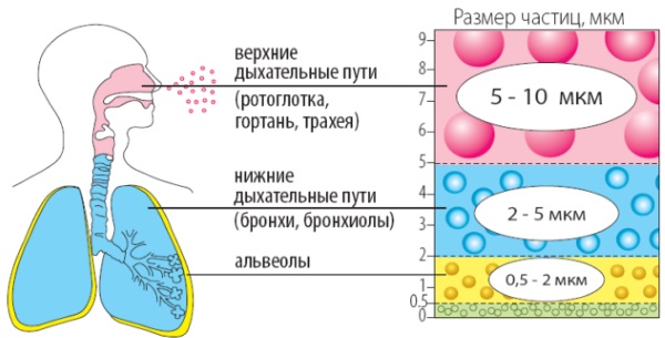 Бронхит. Симптомы и лечение у взрослых в домашних условиях, народными средствами, сколько дней длится, антибиотики