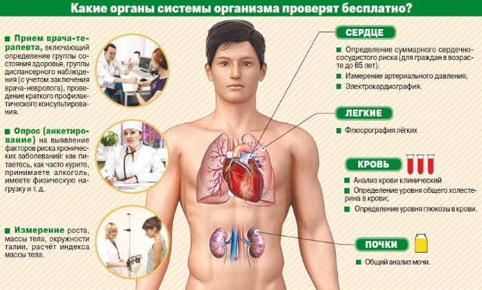 Диспансеризация - что входит в обследование взрослых и детей, года рождения. Врачи и анализы, как пройти по месту жительства