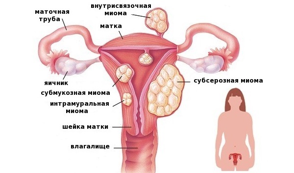 Дюфастон. Инструкция по применению, цена, отзывы, аналоги