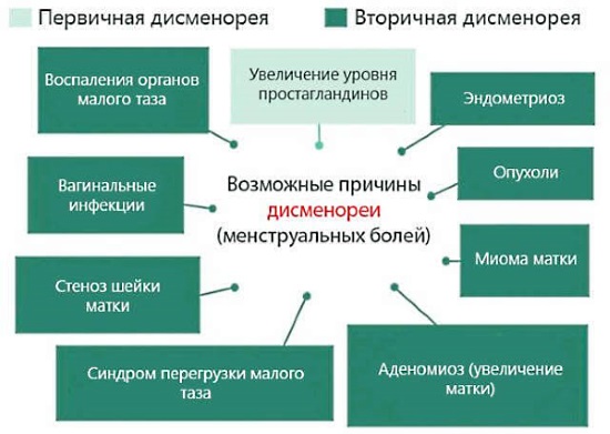 Дюфастон при эндометриозе схема