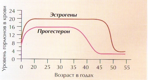 Могут ли на фоне приема дюфастона начаться месячные