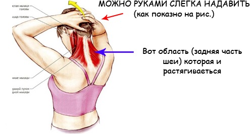 Гимнастика для шеи Шишонина, Бубновского, Норбекова, Дикуля, Куркуриной. Полный комплекс при остеохондрозе, гипертонии, от давления, для позвоночника