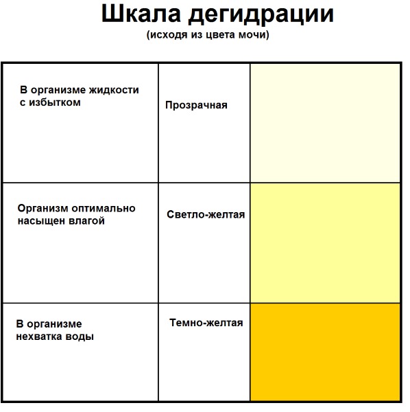 Как болят почки: симптомы у женщин, мужчин, камни, песок, опущенная, при беременности. Чем лечить: народные средства, лекарства