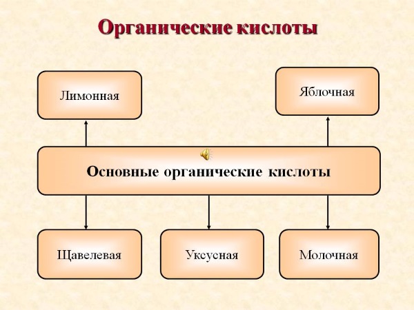 Корень шиповника. Полезные свойства, показания, применение в народной медицине. Рецепт отвара, настоя, чая, спиртовой настойки