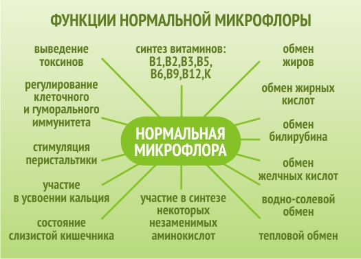 Восстановление микрофлоры кишечника медикаментозными препаратами и народными средствами, диета