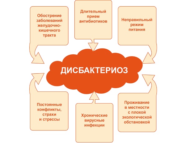 Восстановление микрофлоры кишечника медикаментозными препаратами и народными средствами, диета