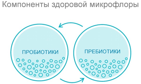 Восстановление микрофлоры кишечника медикаментозными препаратами и народными средствами, диета