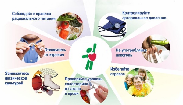 Продукты, понижающие давление у человека. Список для нормализации артериального давления при гипертонии, влияние правильного питания, какие продукты нельзя