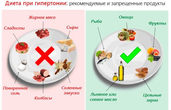 Продукты, понижающие давление у человека. Список для нормализации артериального давления при гипертонии, влияние правильного питания, какие продукты нельзя