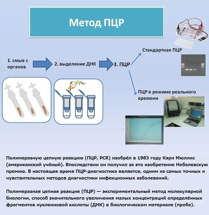 ПЦР диагностика. Что это такое, где применяется, как сдавать, расшифровка анализов