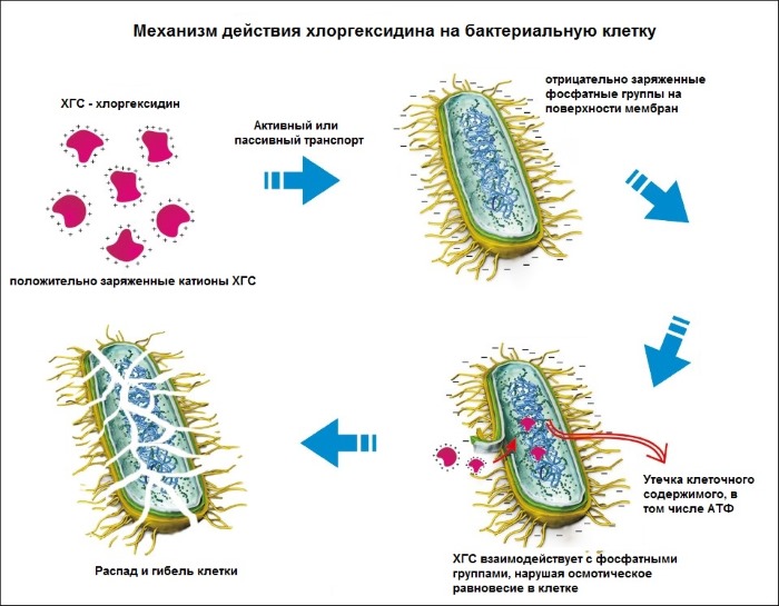 Раствор для полоскания горла: Оки, Фурацилина, сода, соль, йод, Хлорофиллипт, спиртовой, Мирамистин, Йодинол