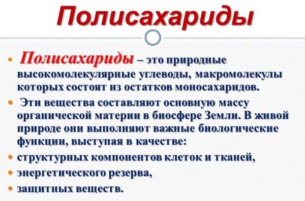 Трава Пол пала. Лечебные свойства, применение в народной медицине от камней в почках и желчном пузыре, других болезней. Противопоказания