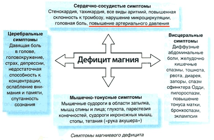 Витамины для сердца и сосудов. Список препаратов для укрепления здоровья. Названия и цены