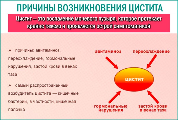 Диета при цистите у женщин, детей, при беременности Список запрещенных и разрешенных продуктов, меню, рецепты