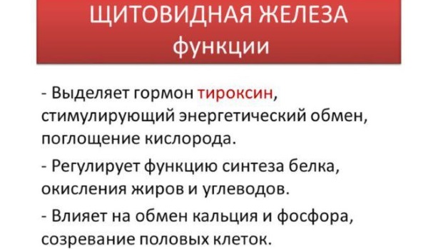 Эутирокс. Инструкция по применению, состав, побочные эффекты, дозировка для похудения, при беременности. Аналоги, цена