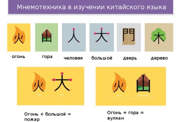 Мнемотехника для развития памяти взрослым: упражнения, тренировка. Как развить, улучшить память и внимание человека. Игры, стихи